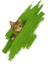 PetBox