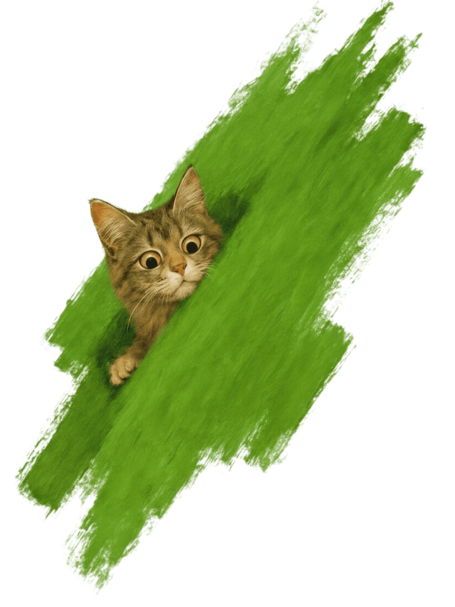 PetBox Logo